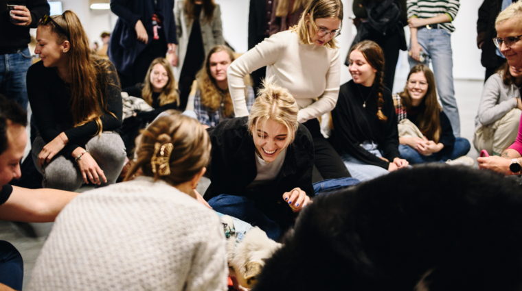 Mental Health Day at FSV UK