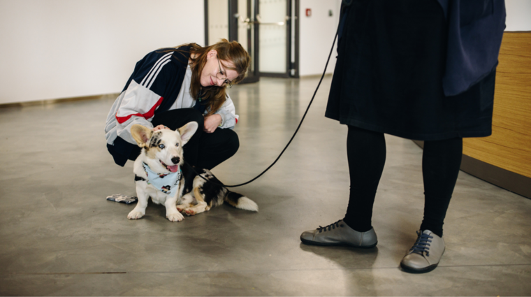 Mental Health Day at FSV UK