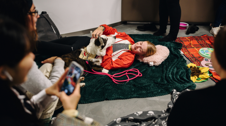 Mental Health Day at FSV UK