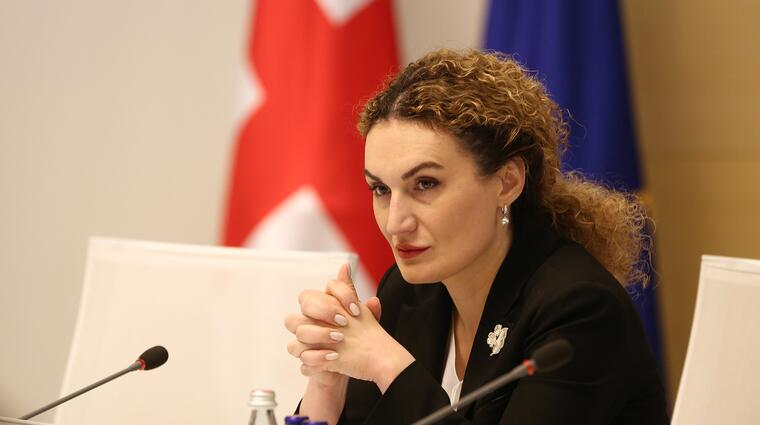 gruzínská ministryně Ketevan Cichelašvili, KRVS IMS FSV UK