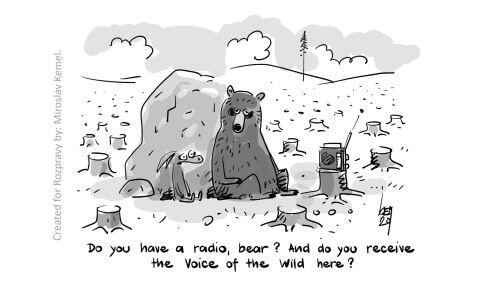 Rozpravy in English: Beyond radio specifity