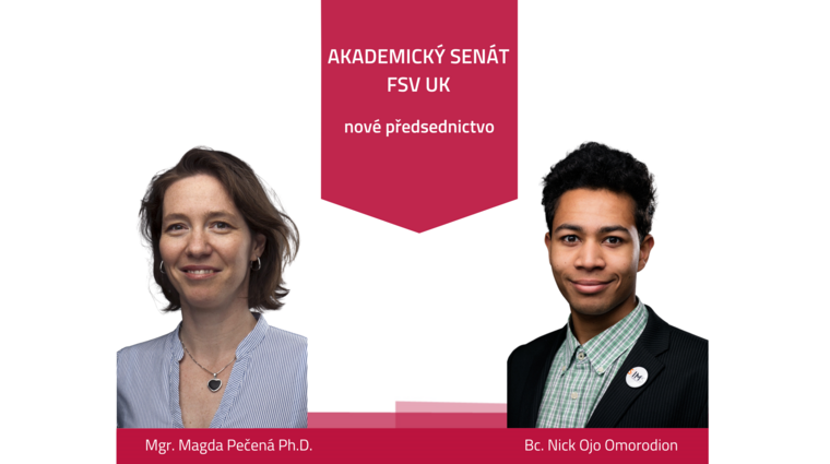 AS FSV UK