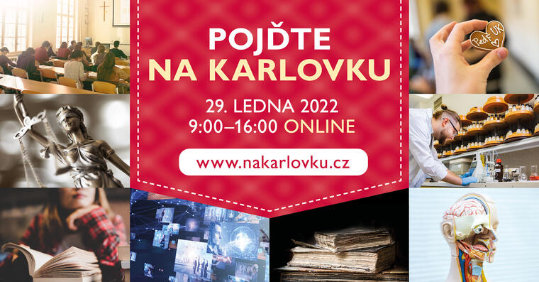 Na Karlovku leden