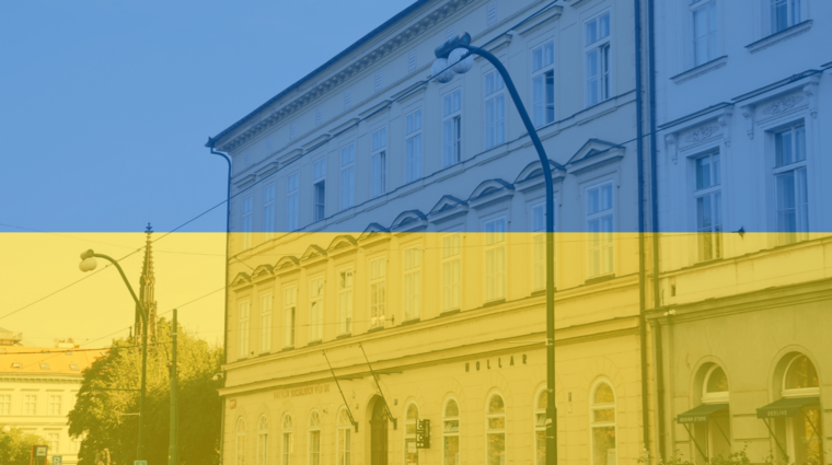 ukraine - flag