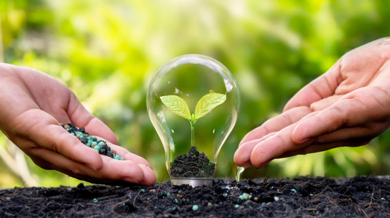 two hands putting seeds to the soil next to a plant in a light bulb