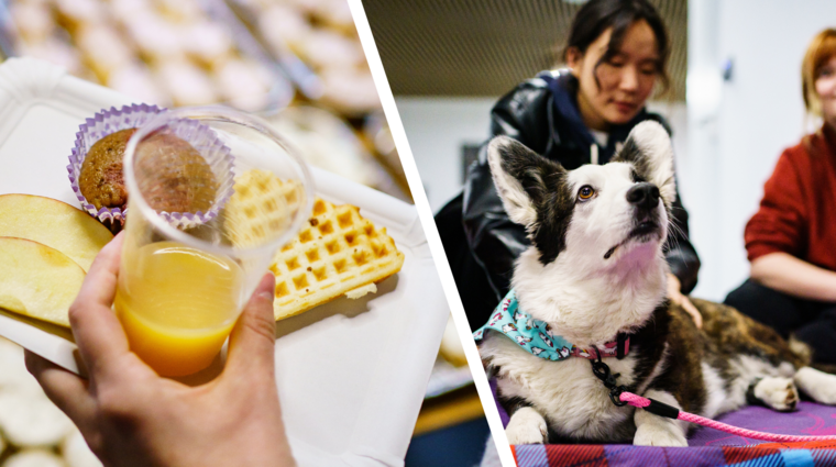 den duševního zdraví