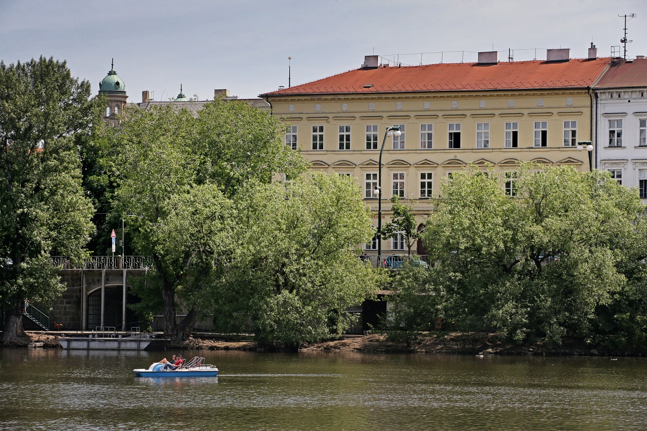 Faculty of Social Sciences
