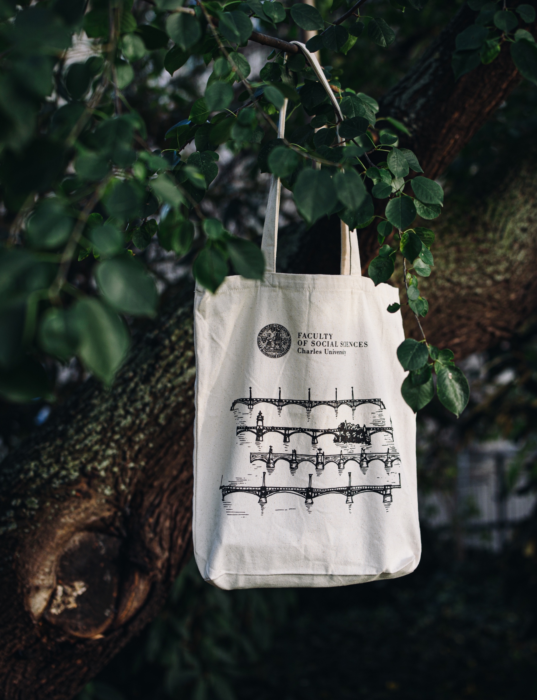 Tote bag 